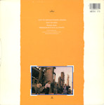MERX175 Cover