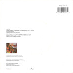 Broken Heart (Thirteen Valleys) (Australasia) Rear Cover