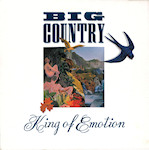 BIGC5 Front Cover
