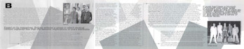 Cover insert rear