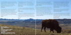 Booklet Pages 4 & 5